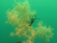 Albums/20060200-New Zealand 2006/20060211-Milford Sound/54